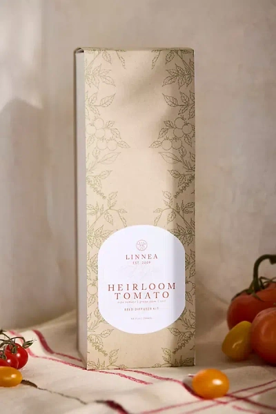 Terrain Diffuser, Heirloom Tomato