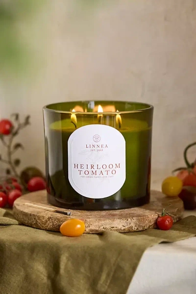 Terrain Linnea Grande Candle, Heirloom Tomato