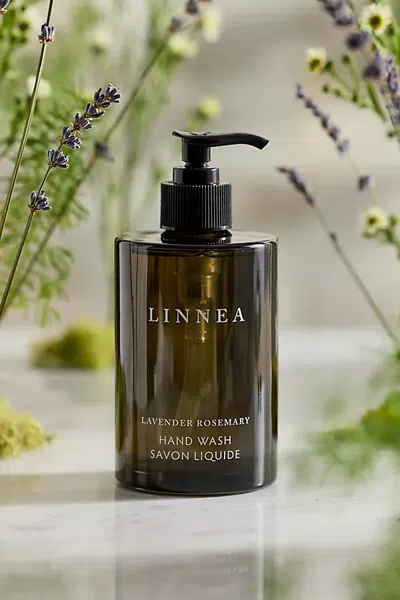 Terrain Linnea Lavender Rosemary Hand Wash In Multicolor