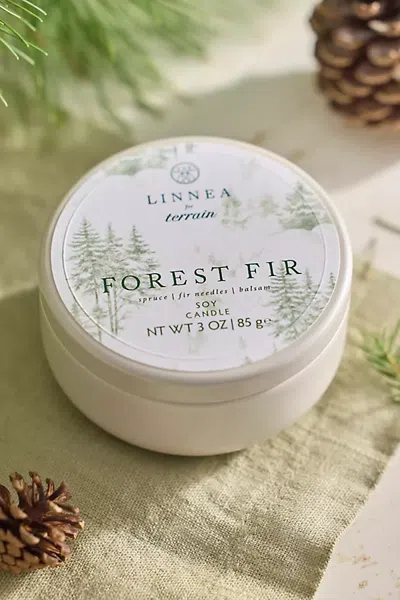 Terrain Linnea Petite Tin Candle, Forest Fir In Neutral