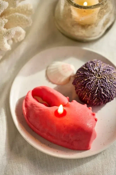 Terrain Lobster Claw Candle In Pink