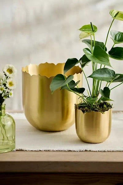 Terrain Lotus Edge Polished Brass Planter In Gold
