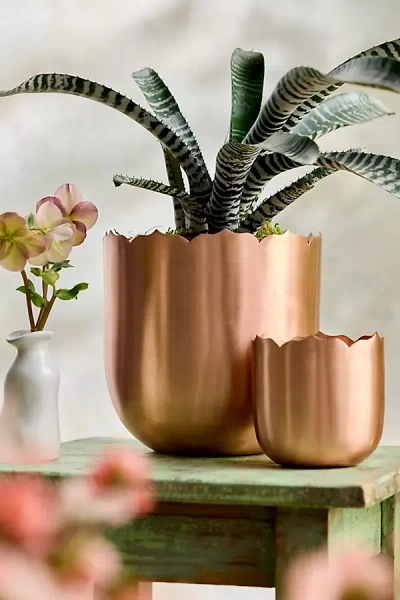 Terrain Lotus Edge Polished Copper Planter In Brown