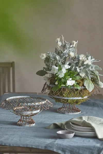 Terrain Low Wire Urn Planter In Multi