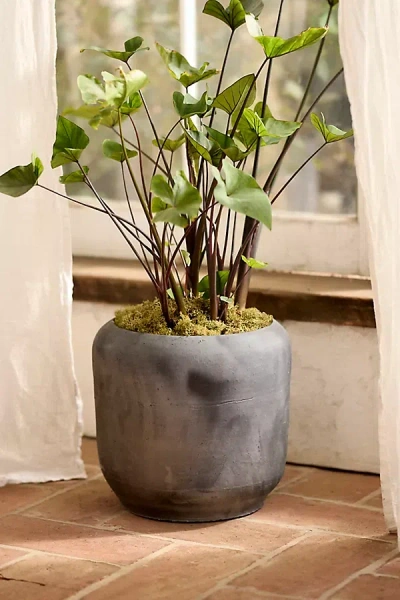 Terrain Luca Rounded Planter