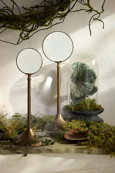 Terrain Magnifying Glass On Stand