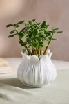 Terrain Marble Lotus Planter