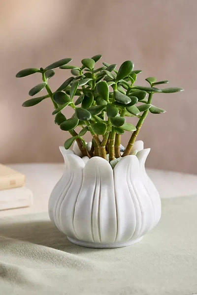 Terrain Marble Lotus Planter