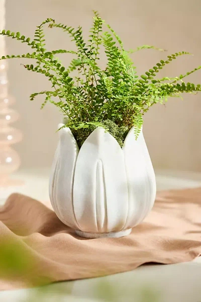 Terrain Marble Tulip Planter