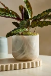 Terrain Marbled Glass Planter In Multi