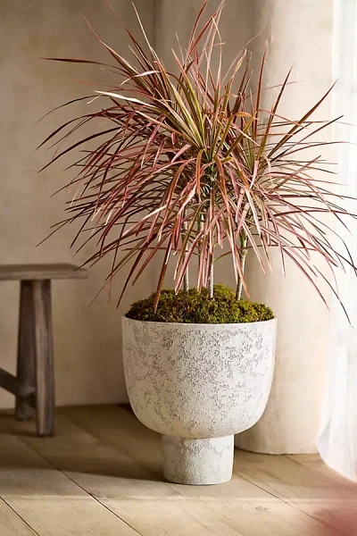 Terrain Margo Ceramic Urn