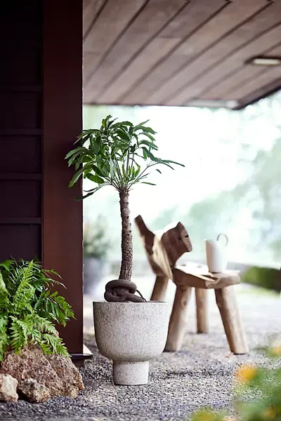 Terrain Margo Ceramic Urn In White