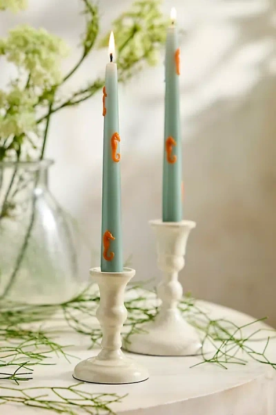 Terrain Marine Life Taper Candles, Set Of 2
