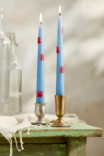 Terrain Marine Life Taper Candles, Set Of 2