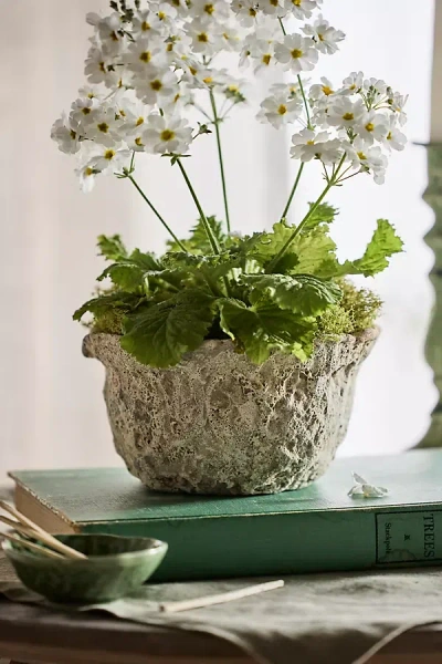 Terrain Maritime Bowl Planter In Neutral