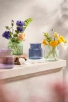 Terrain Mathew Glass Vase