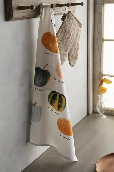 Terrain May We Fly Heirloom Pumpkins Dish Towel In Multicolor