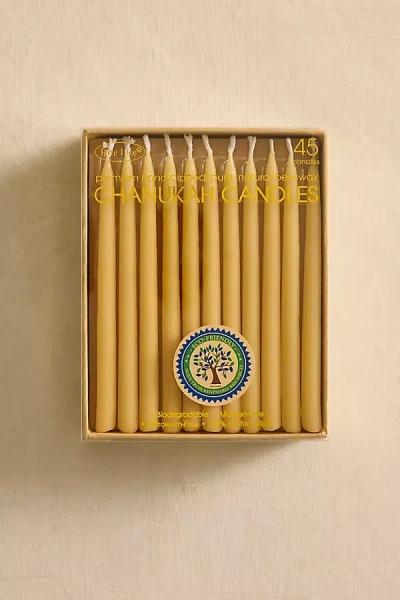 Terrain Menorah Candles, Set Of 45