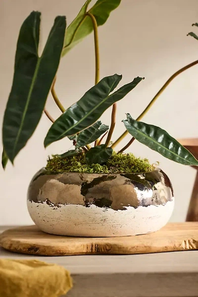 Terrain Metallic Colorblock Ceramic Bowl Planter