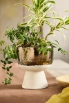 Terrain Metallic Colorblock Ceramic Urn Planter