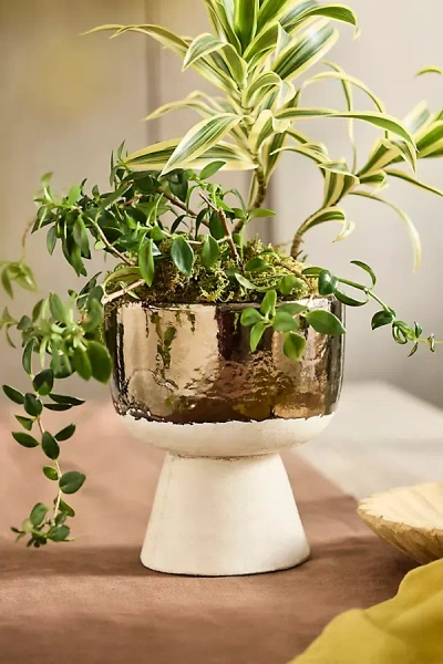 Terrain Metallic Colorblock Ceramic Urn Planter
