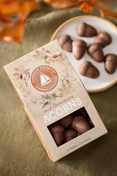 Terrain Milk Chocolate Acorns In Neutral