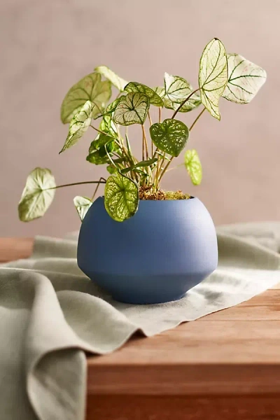 Terrain Milo Ceramic Planter