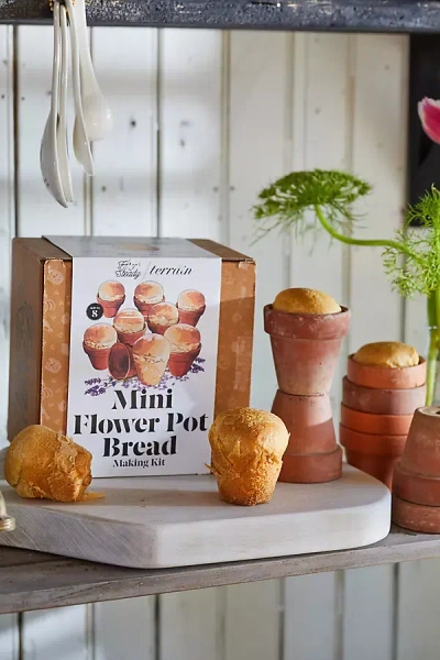 Terrain Mini Flower Pot Bread Kit, Set Of 8 In Brown
