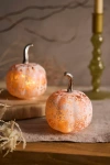 Terrain Mini Glass Pumpkins, Set Of 2