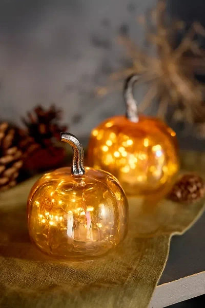 Terrain Mini Glass Pumpkins, Set Of 2