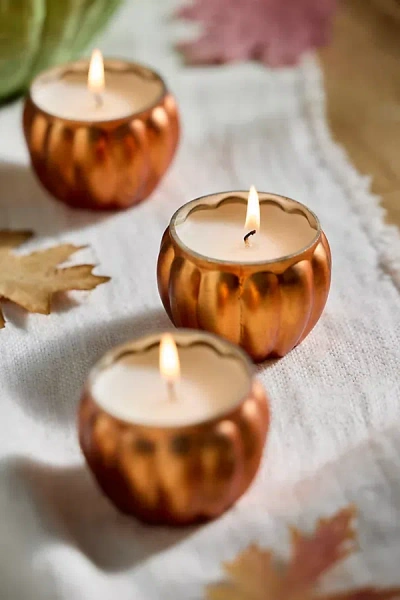 Terrain Mini Harvest Festival Pumpkin Candles, Set Of 3 In Brown