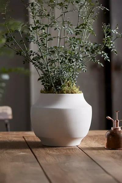 Terrain Mod Ceramic Jar Planter, 9"