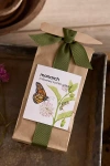 Terrain Monarch Milkweed Garden Seed Scatter In Brown