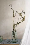 Terrain Moss & Lichen Branches
