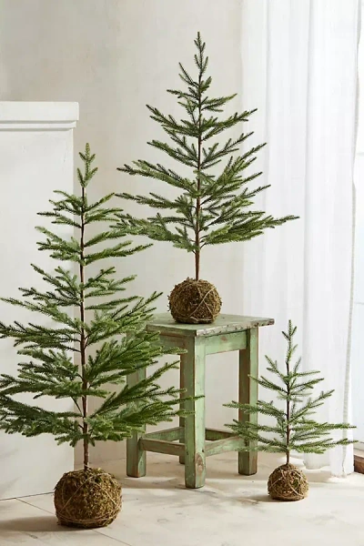 Terrain Moss Ball Mini Faux Fir Tree In Green