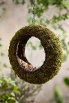 Terrain Moss Ring Bird Feeder