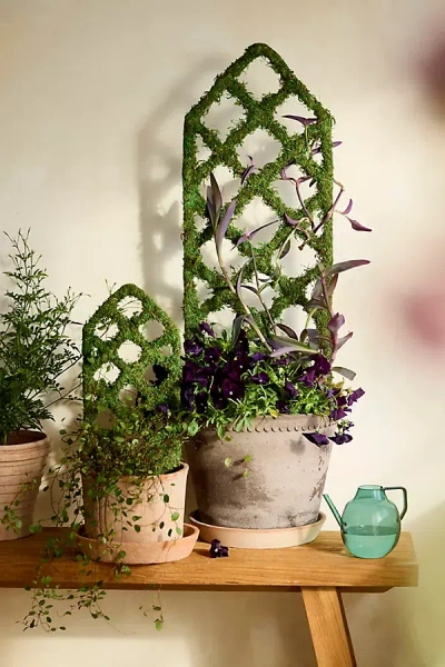 Terrain Mossy Diamond Lattice Trellis