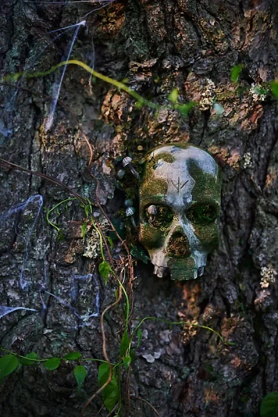 Terrain Mossy Metal Skull