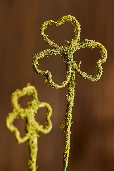 Terrain Mossy Shamrock Trellis Stakes, Set Of 4 Small In Brown