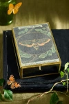 Terrain Moth Divining Box