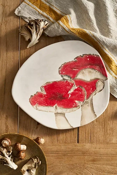 Terrain Mushroom Dinner Plate In Red