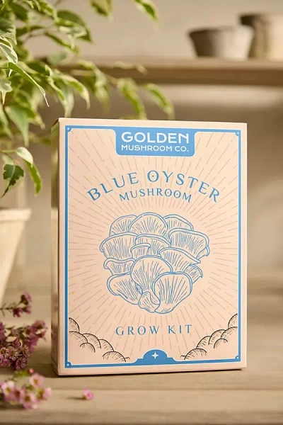 Terrain Mushroom Grow Kit