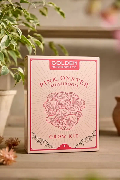 Terrain Mushroom Grow Kit