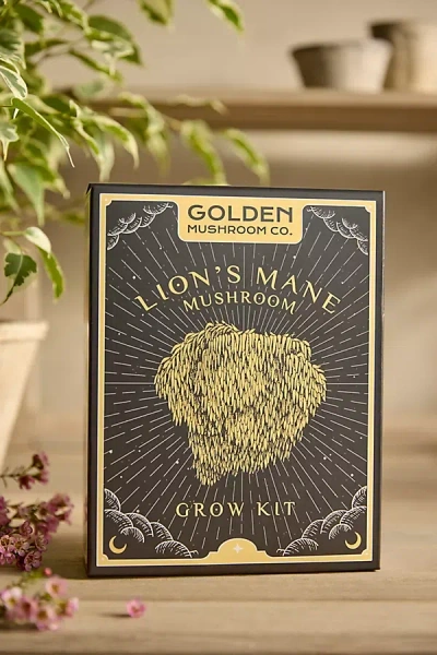Terrain Mushroom Grow Kit