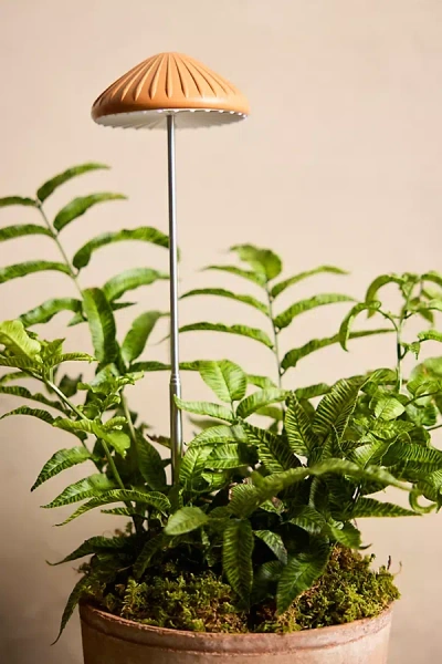 Terrain Mushroom Led Grow Light