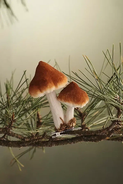 Terrain Mushroom Velvet Clip Ornament In Brown