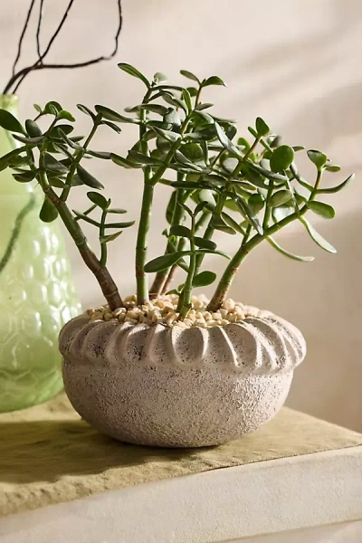 Terrain Necklace Earthenware Planter In White