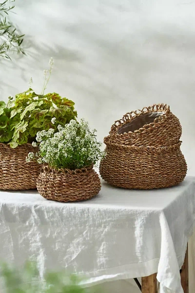 Terrain Nested Seagrass Basket Planters, Set Of 4 In Brown