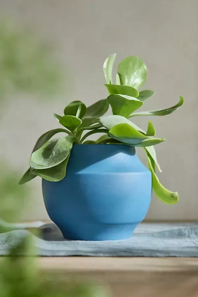 Terrain Nia Ceramic Planter