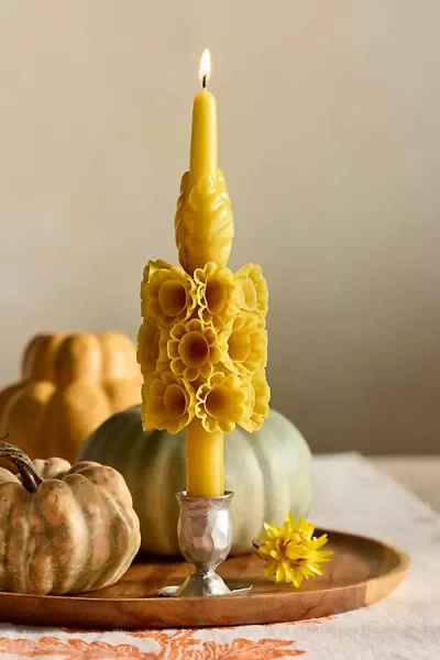 Terrain Oaxacan Multifloral Taper Candle